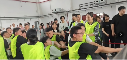 跨系组队展风采 师生同心创佳绩——电气工程系勇夺万搏体育拔河比赛冠军